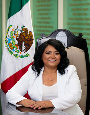 Dip. María Yamina Rosado Ibarra